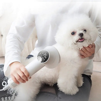 Smart Pet Hair Dryer Dog Golden Retriever Cat Grooming Hairdressing Blow & Comb Silent No Harm Pet Cleaning Supplies Pet Products Hi markets